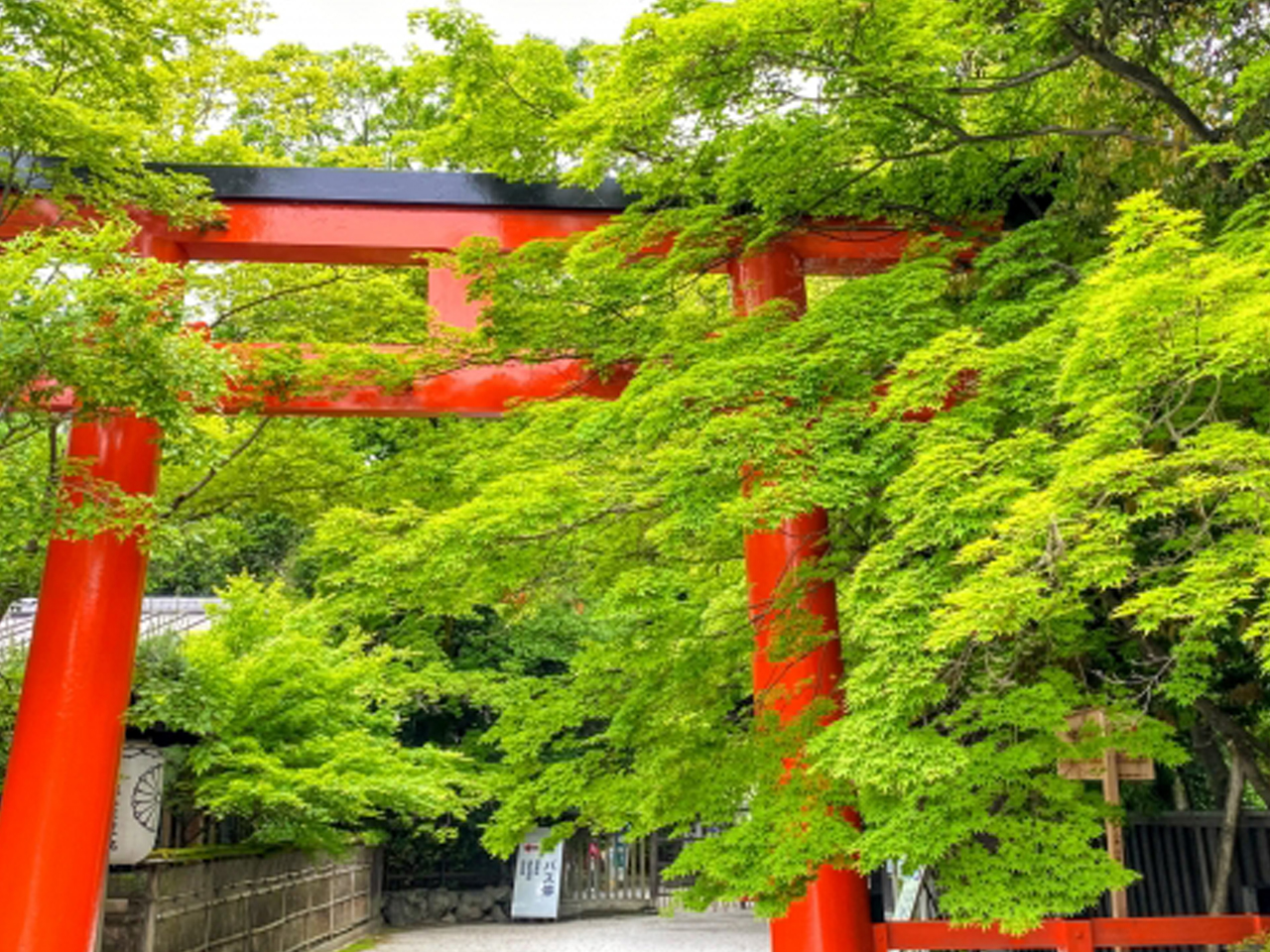 男性不妊の方におすすめの子宝神社