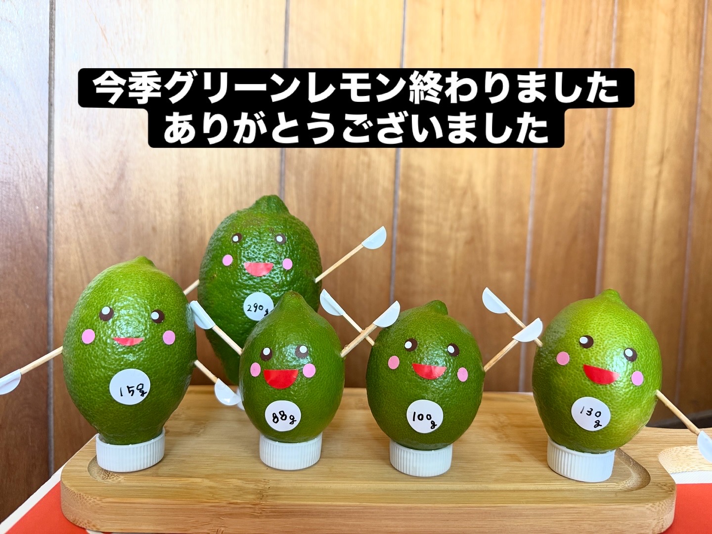 グリーンレモン今季終了しました