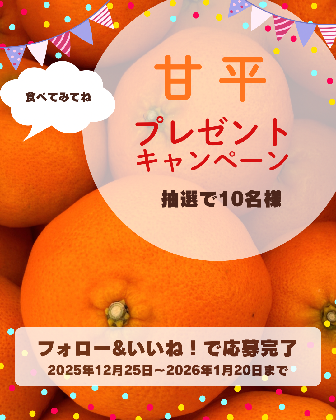 プレゼントキャンペーン実施中です🍊