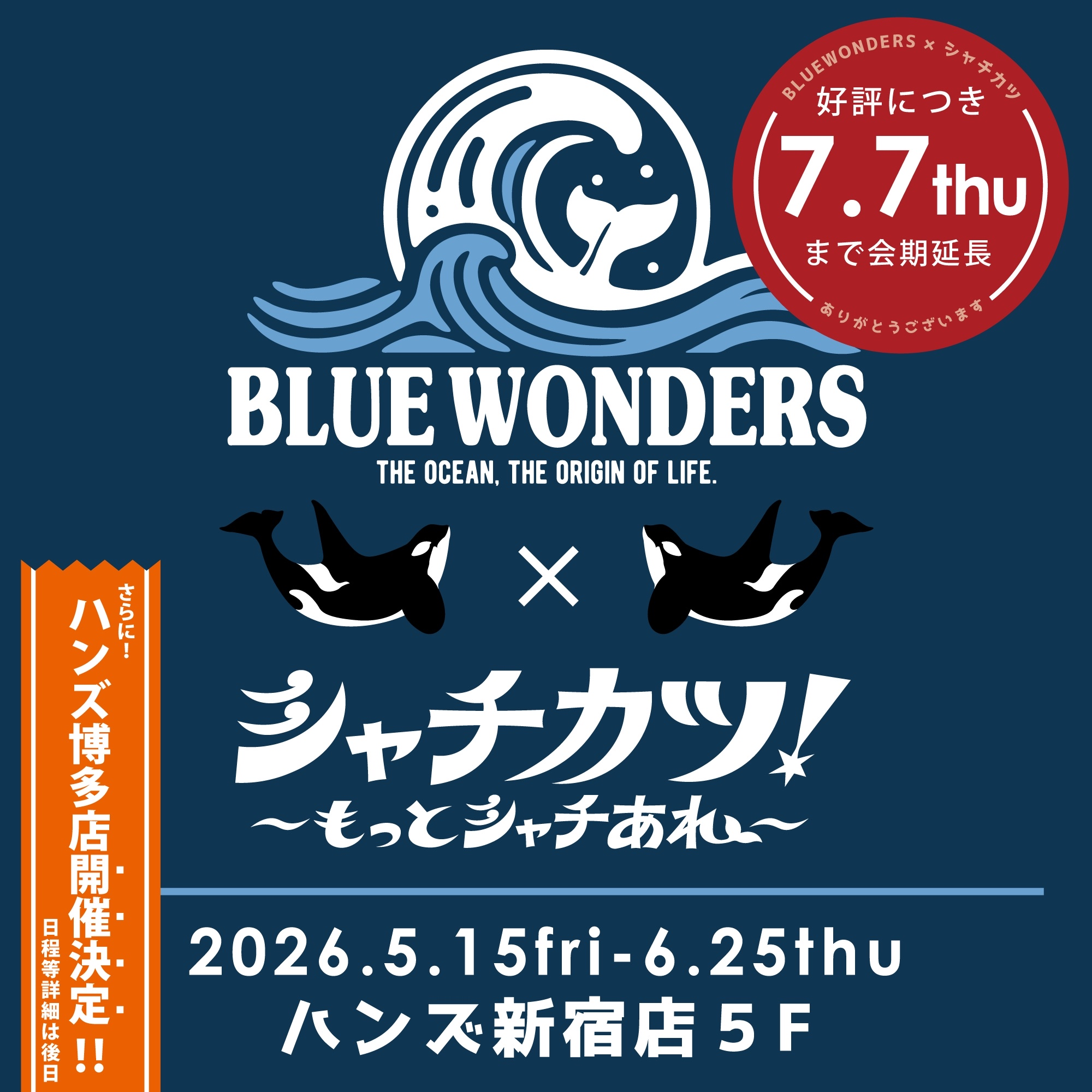イベント出展情報｜Blue Wonders meets シャチカツ