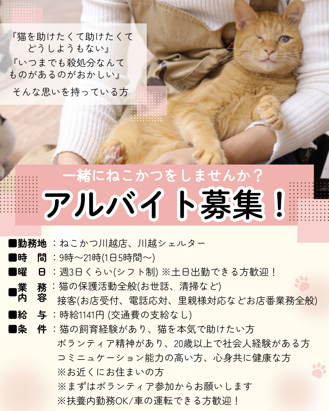 保護猫活動スタッフ（アルバイト）を募集してます
