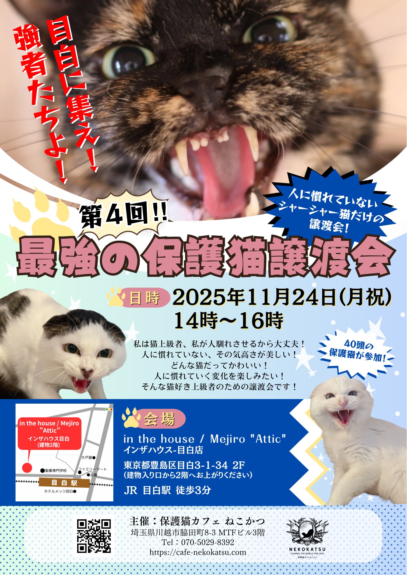 FNNプライムオンラインさまに取材して頂きました♪