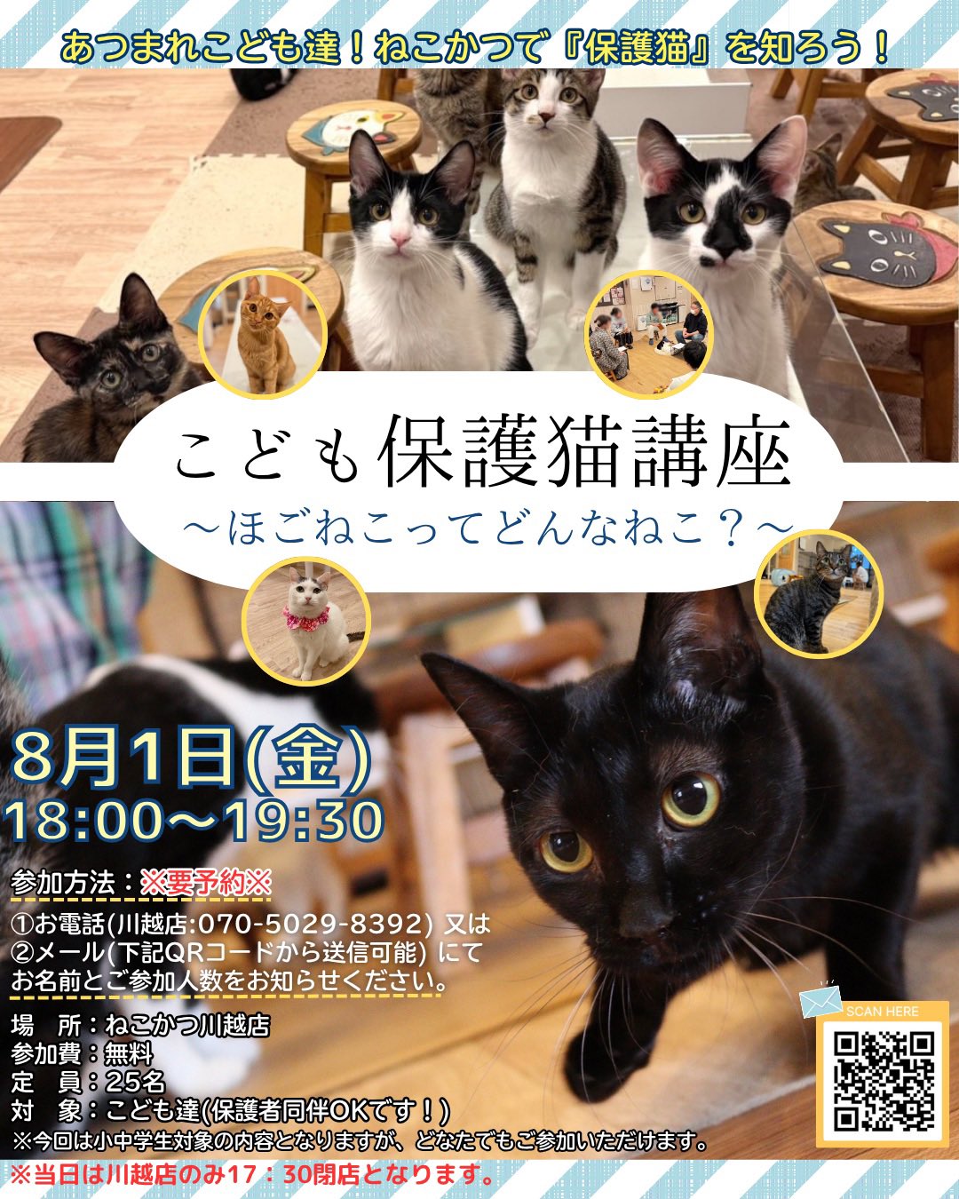 8/1(金) こども保護猫講座を開催します♪