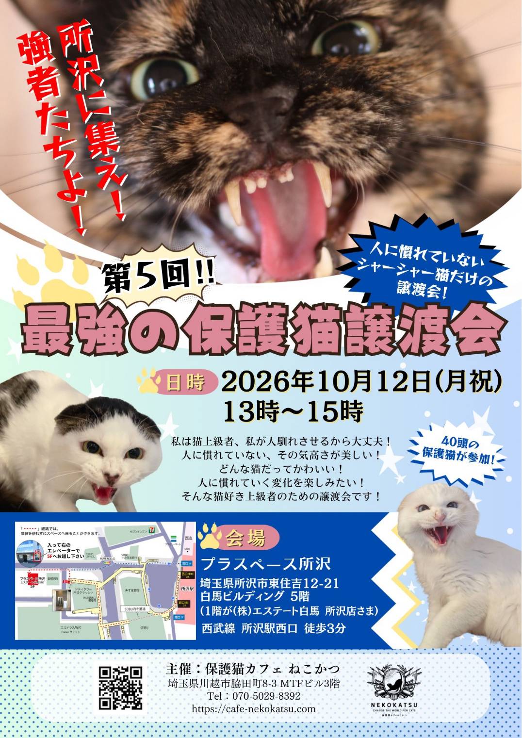 10月12日(月祝)　第5回最強の譲渡会を開催します！⚡