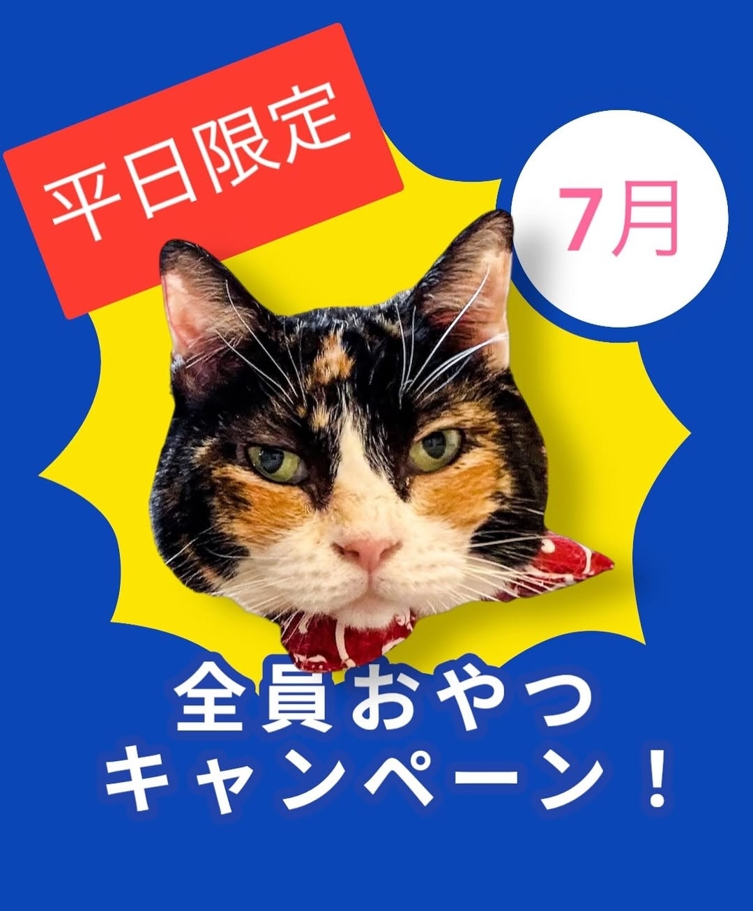 【平日限定】7/31まで全員おやつキャンペーンを実施します！