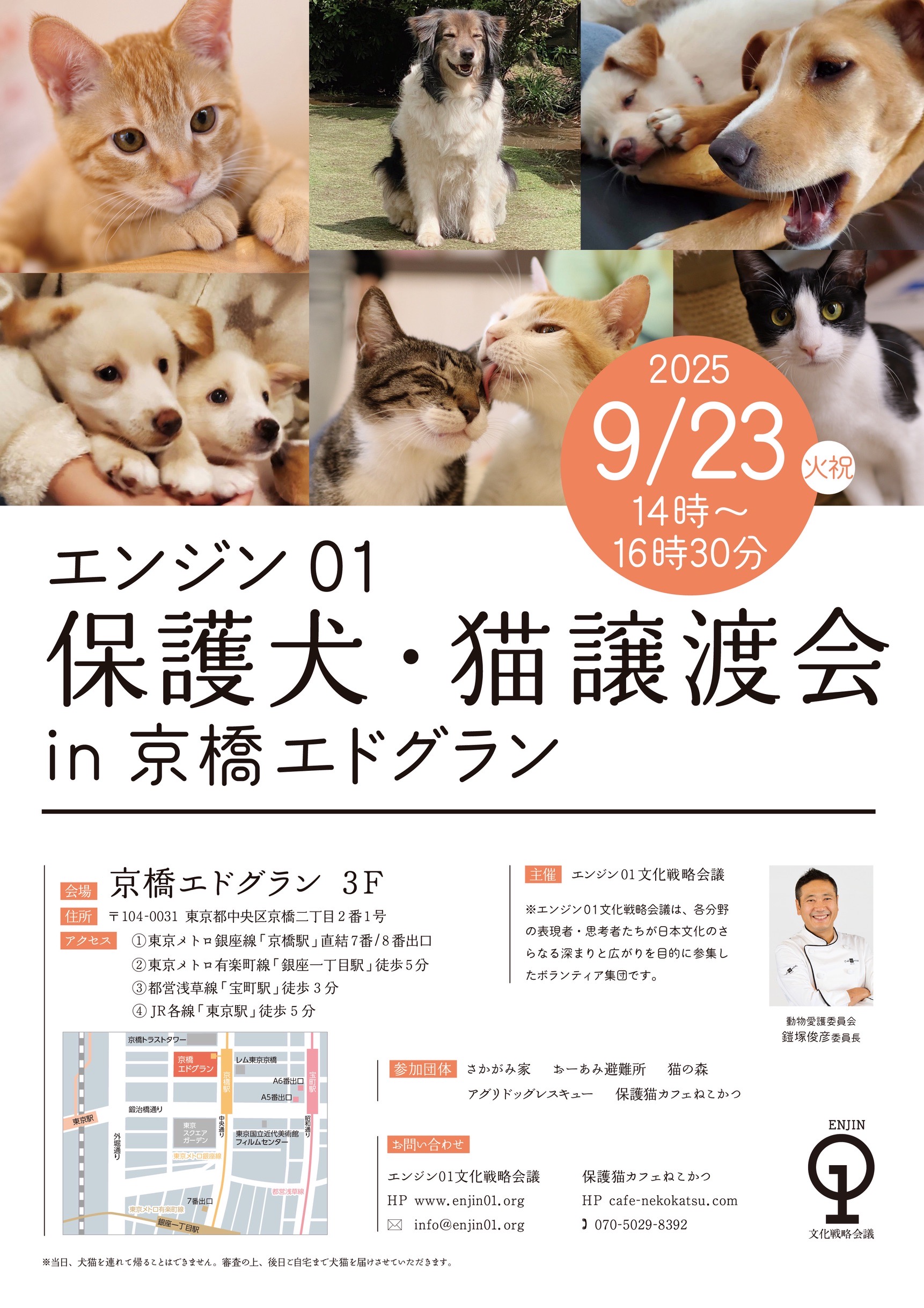 9月23日(火祝) エンジン01保護犬•猫譲渡会の開催が決定しました！