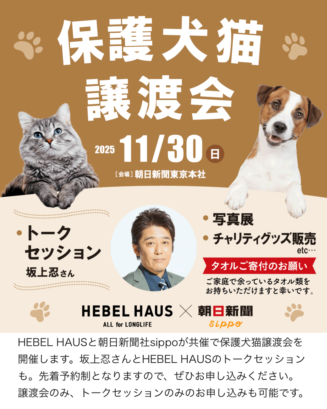 HEBEL HAUS×sippo保護犬猫譲渡会に参加いたします！