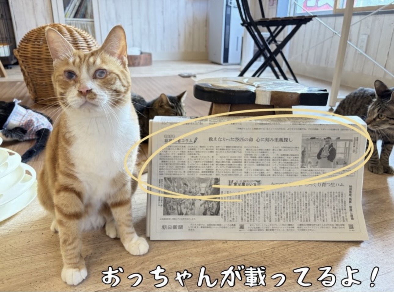 朝日新聞（埼玉版）に掲載されました