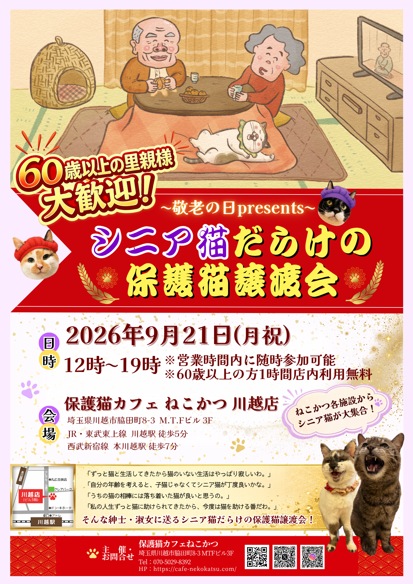 9/21(月祝) シニア猫だらけの保護猫譲渡会を開催します🎉