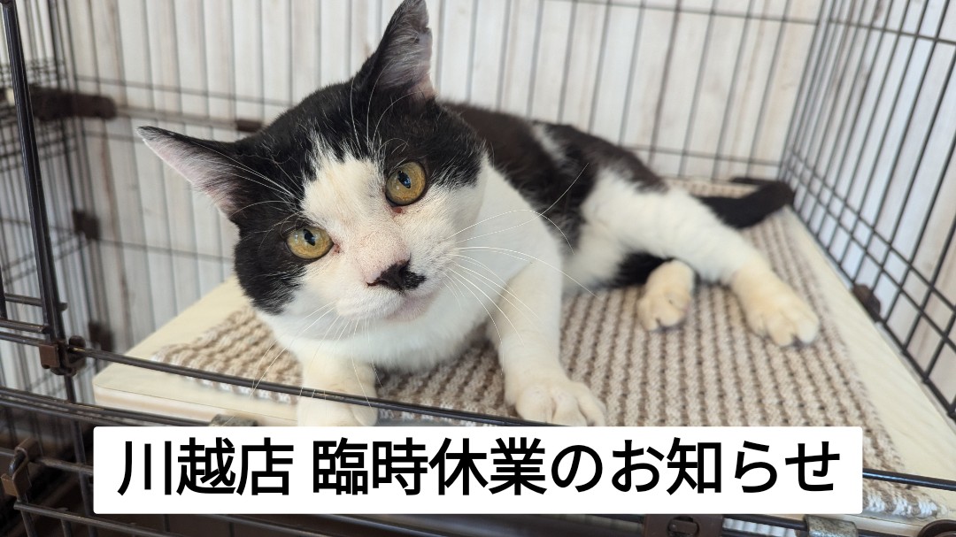 【川越店のみ】7/10(木)臨時休業のお知らせ