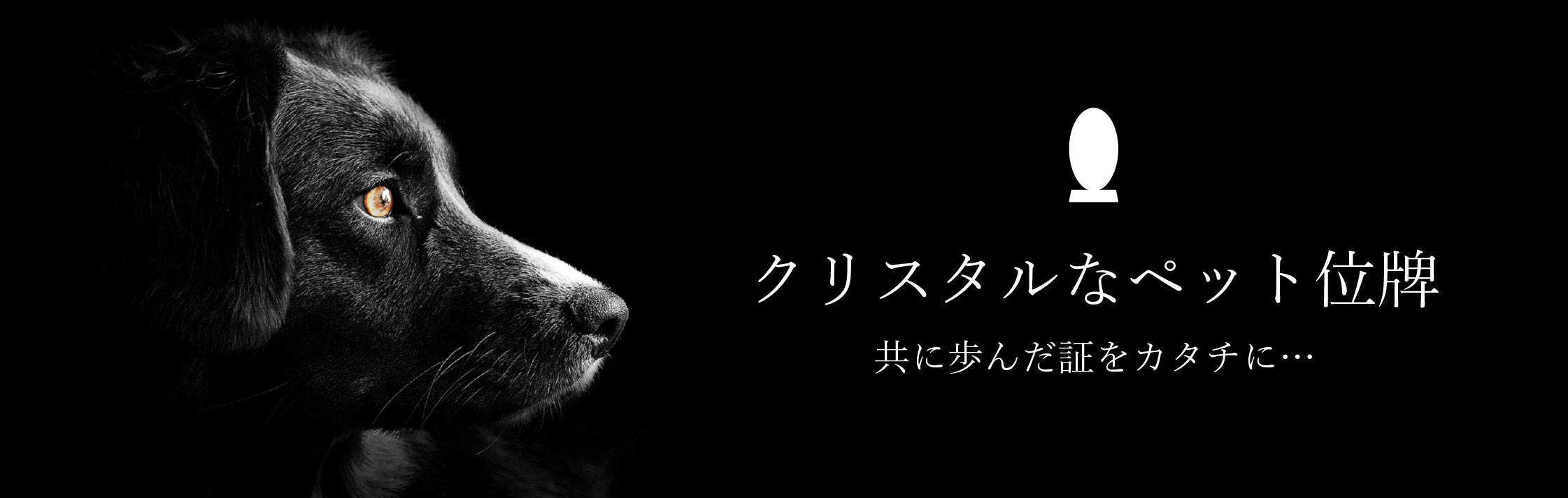 はじめまして
