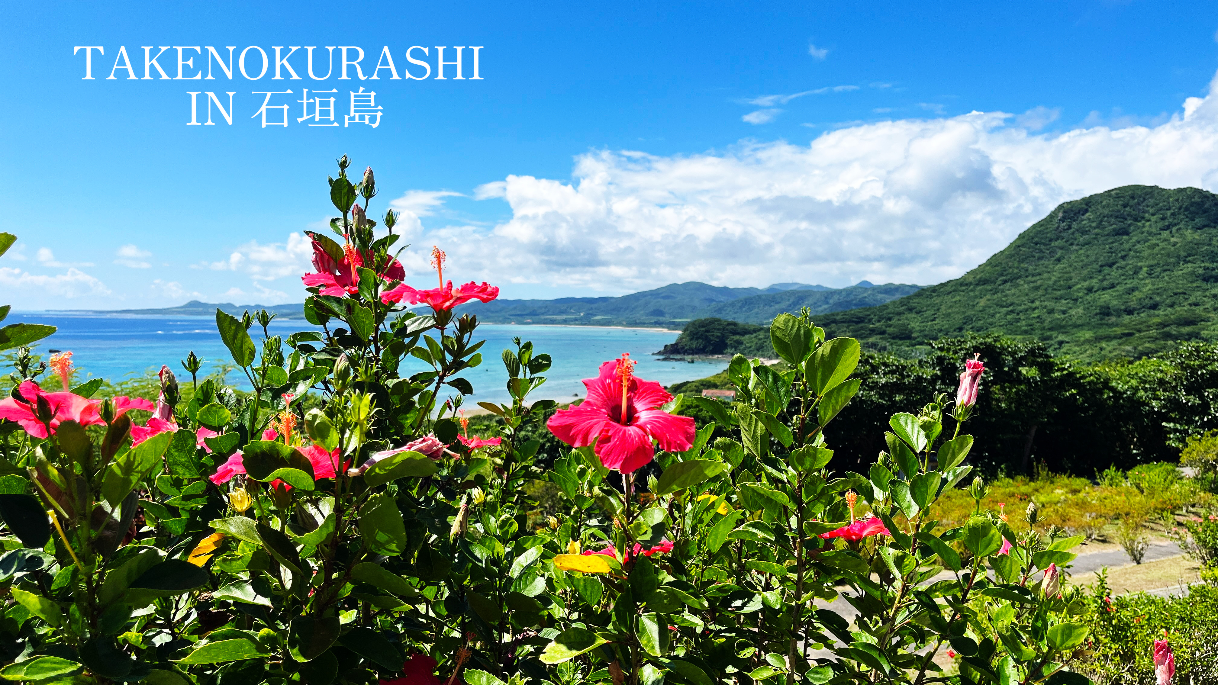 石垣島に来ています。