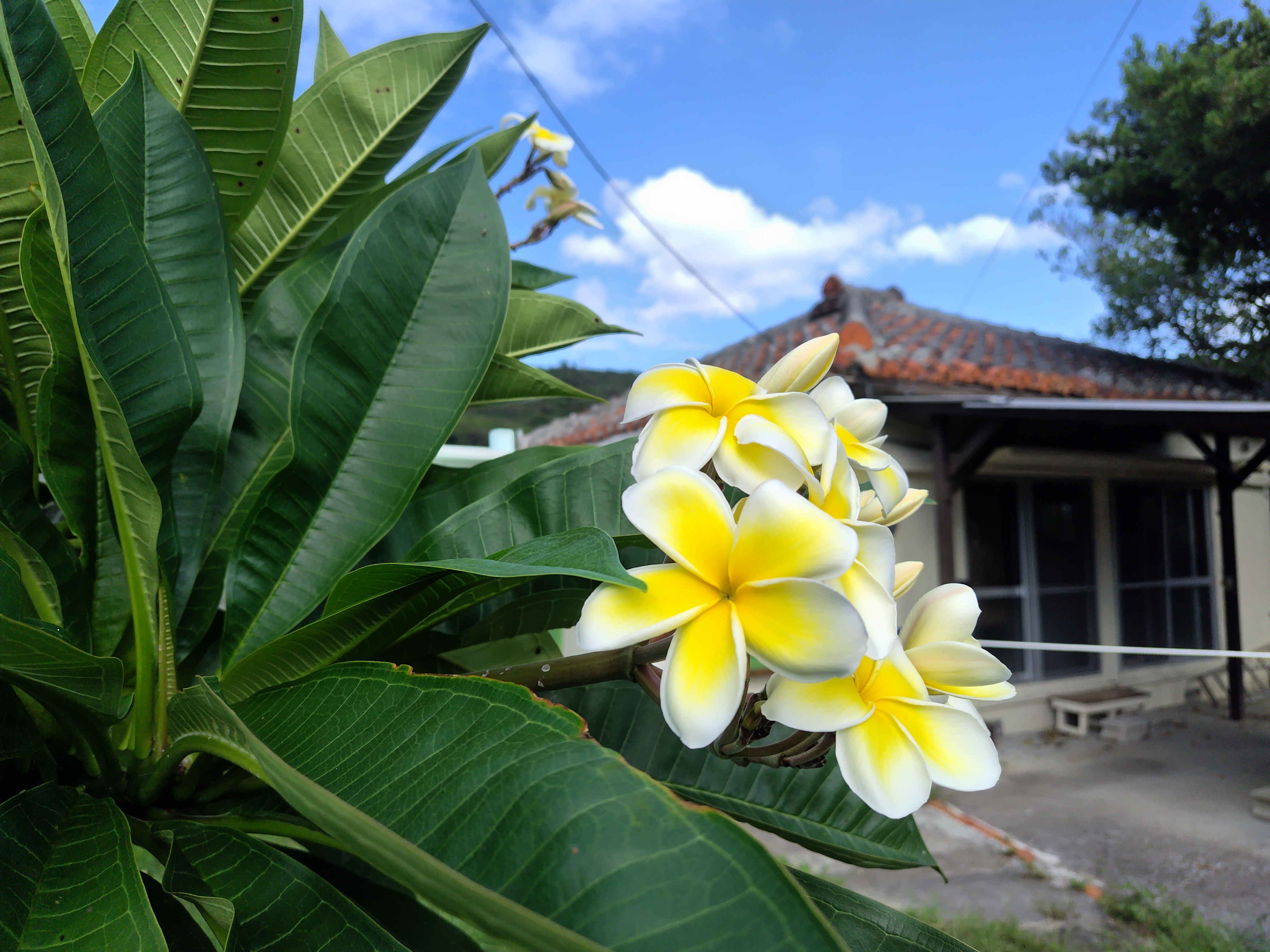 綺麗な島でお散歩♥