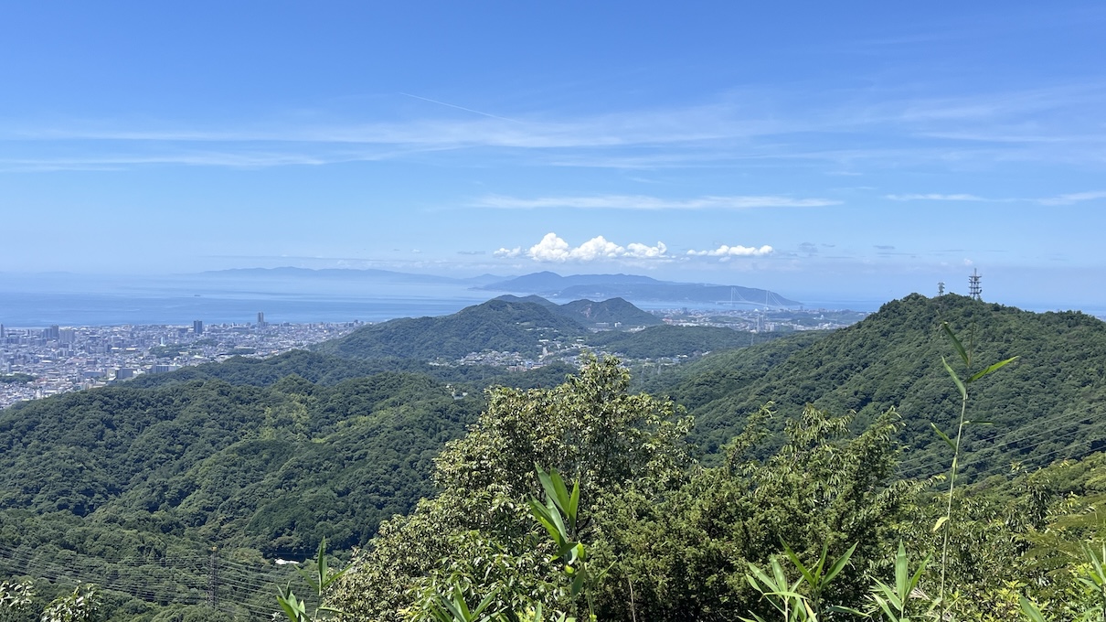 今日も朝から山の中で過ごしました。天気も良く山の中は涼しげで鳥の囀りに癒されました。