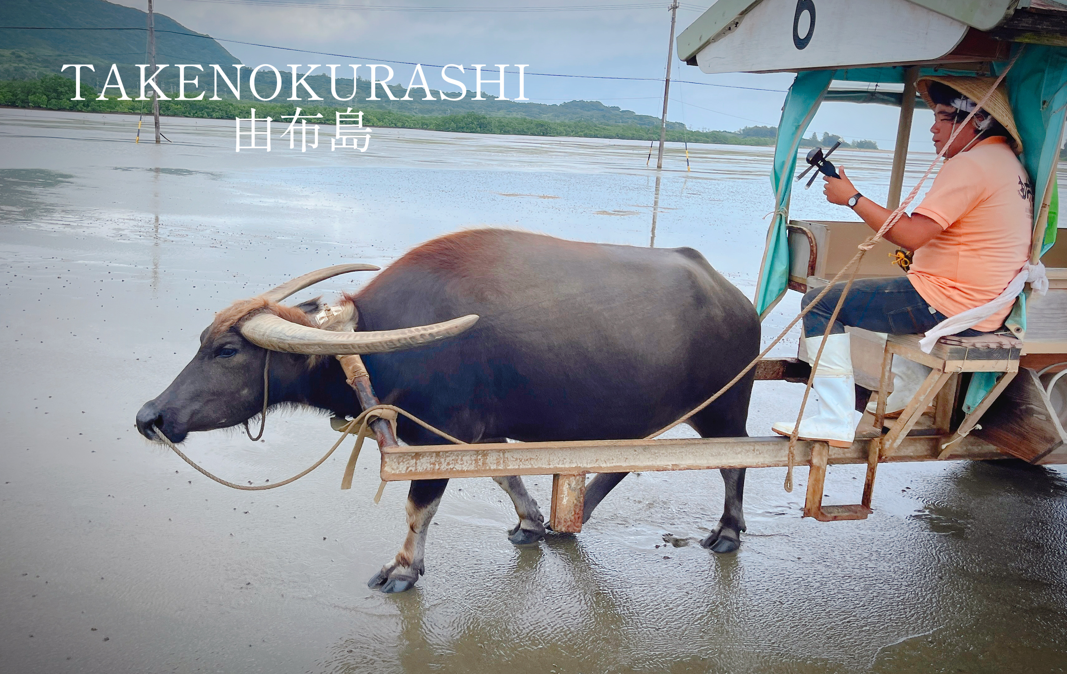 まだまだ旅の途中🐠