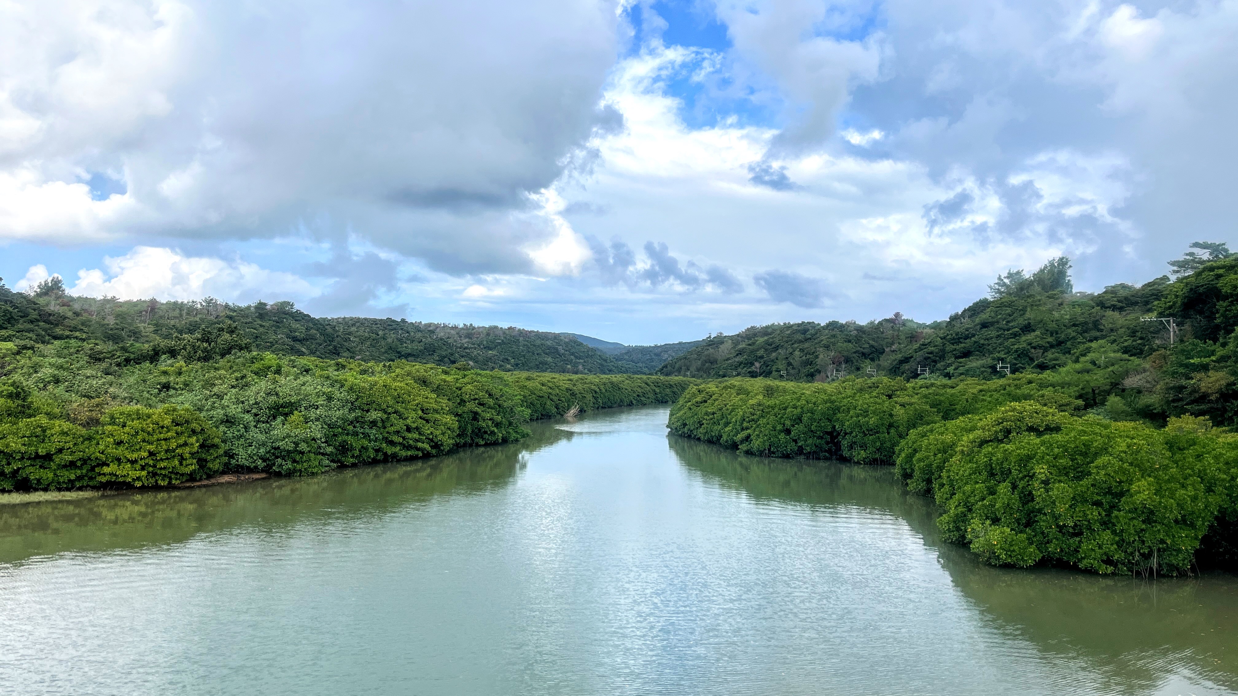 沖縄北部マングローブヤンバルの森。世界自然遺産をカヤックで一周しました。