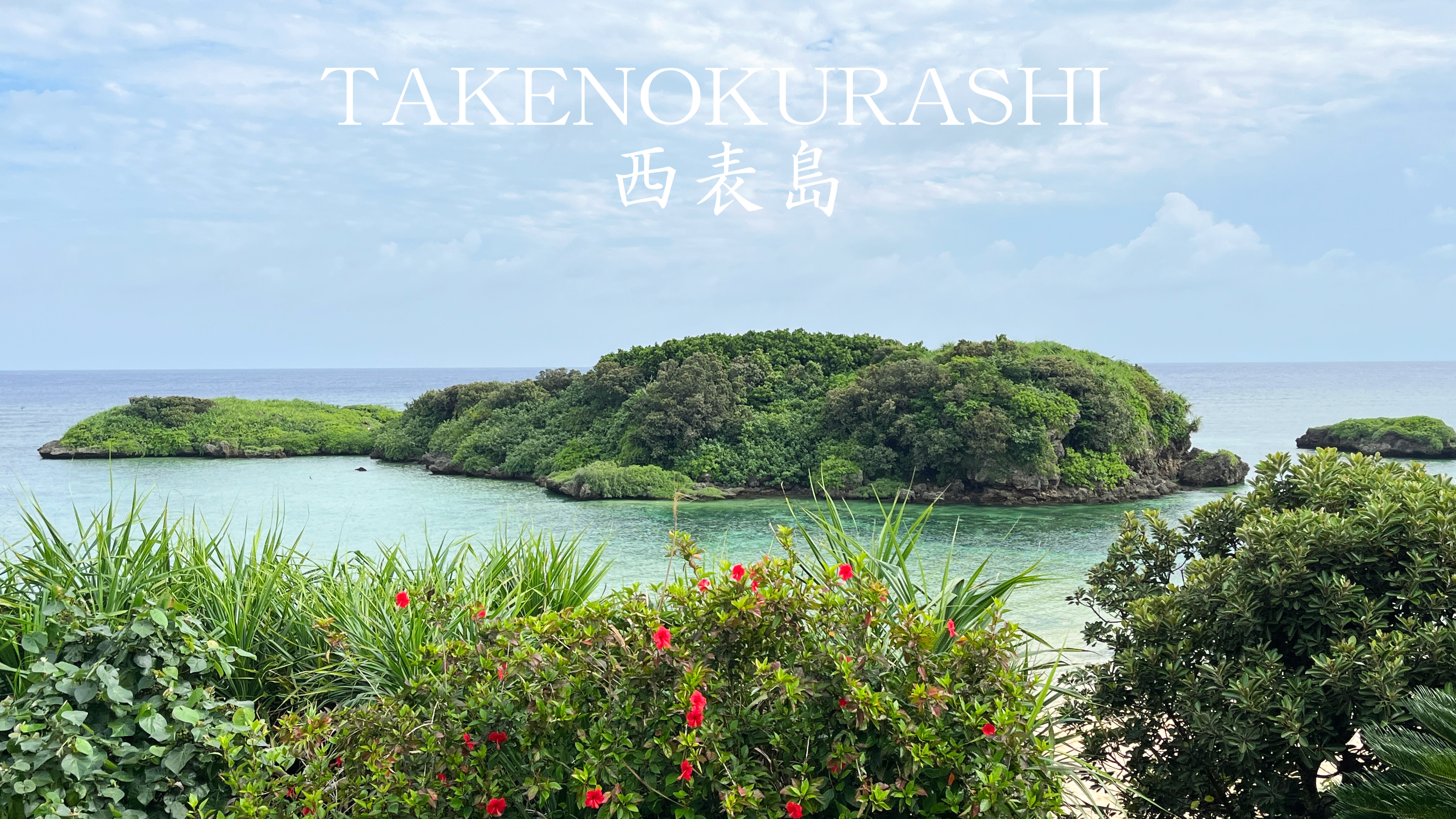西表島に来ています。
