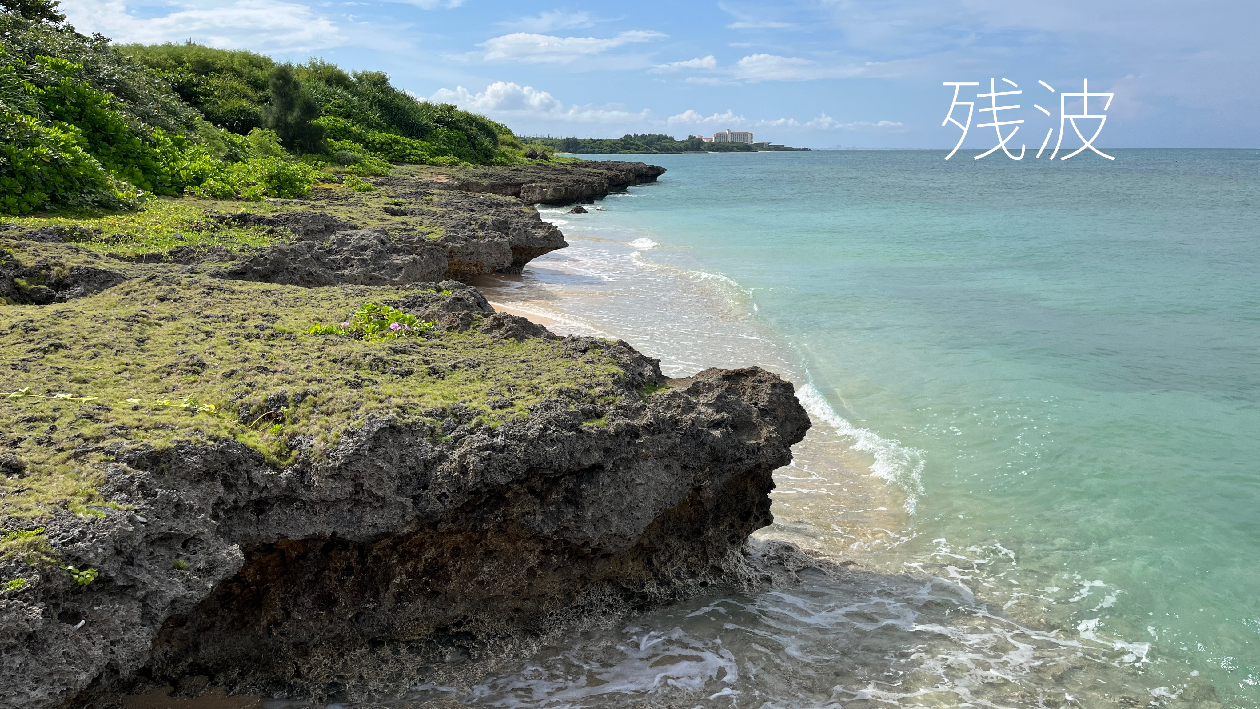 本日は世界自然遺産やんばるの森へさらなる北上致します。