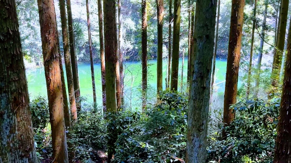 自然の中で癒されてきました。