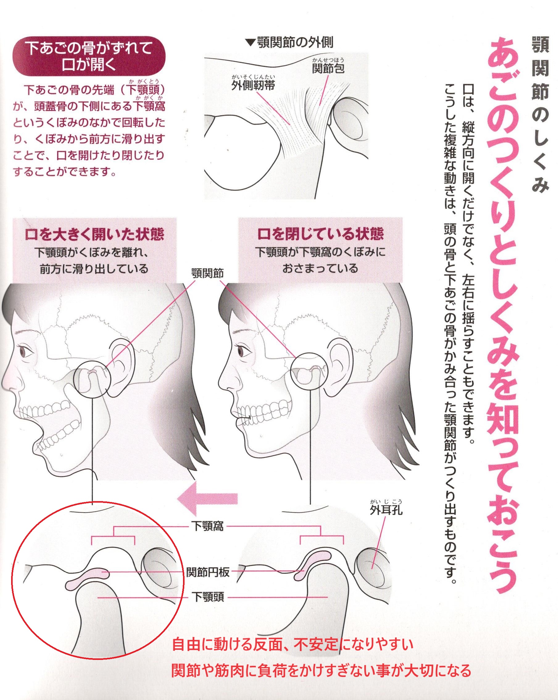 エネルギー構造から丁寧に整えると、身体と姿勢は人生を動かす|リンパケア視点矯正治療視点から構造改革③