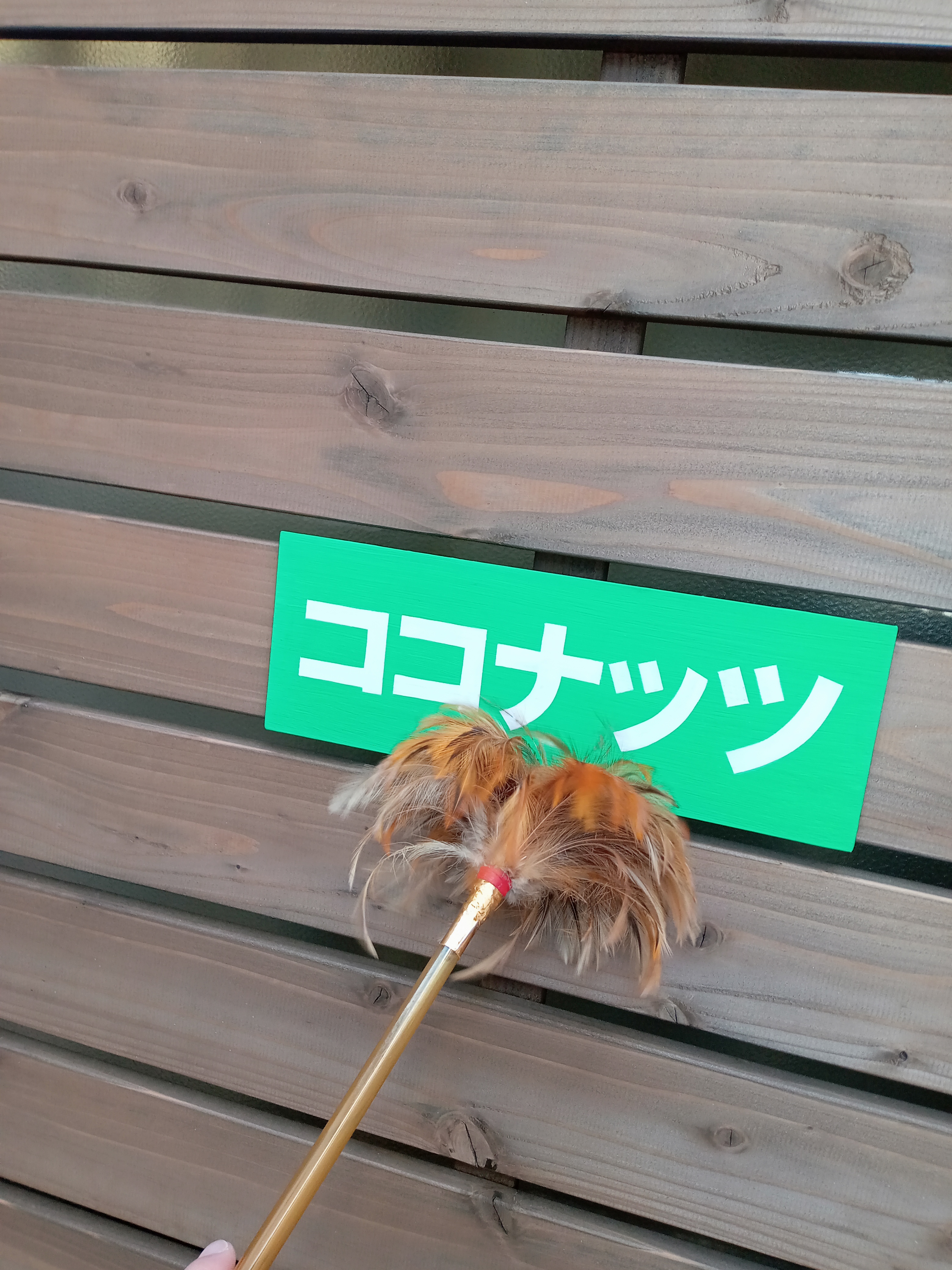 大掃除🧹