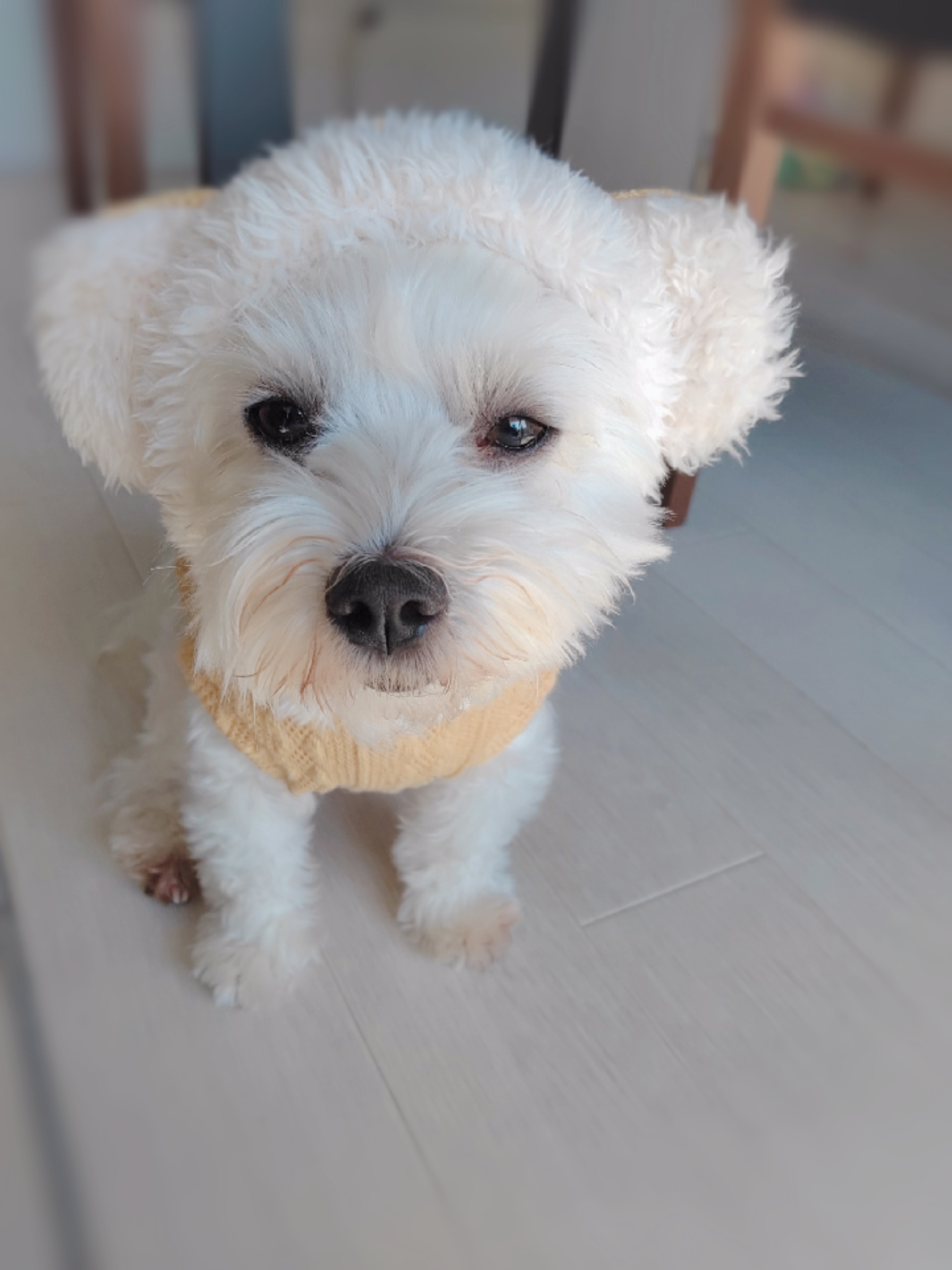 はじめまして(*˘︶˘*).｡*♡