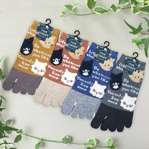 かわいい猫ちゃんのオシャレな『5本指ソックス』が入荷しました♪
