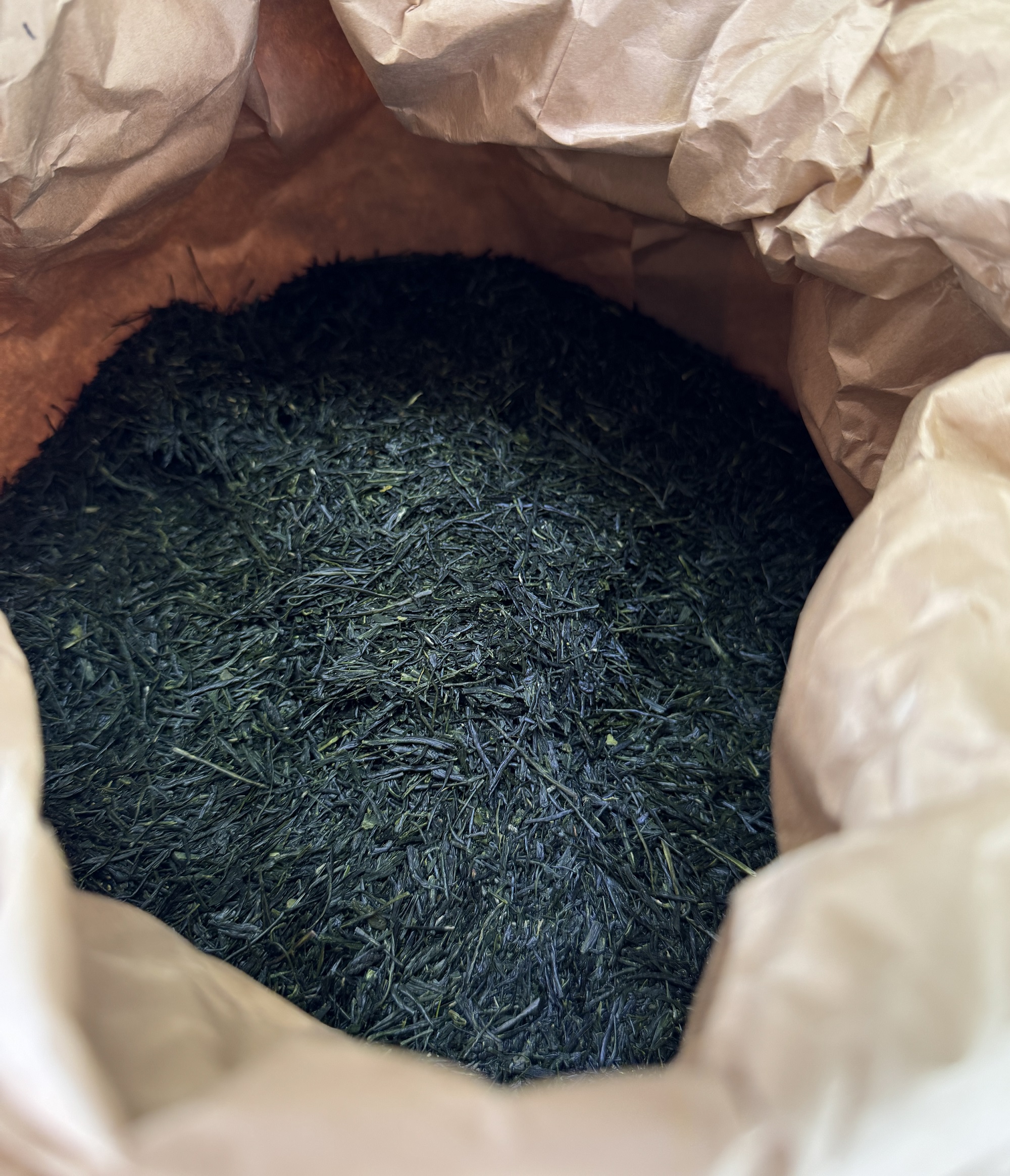 2024新茶販売開始