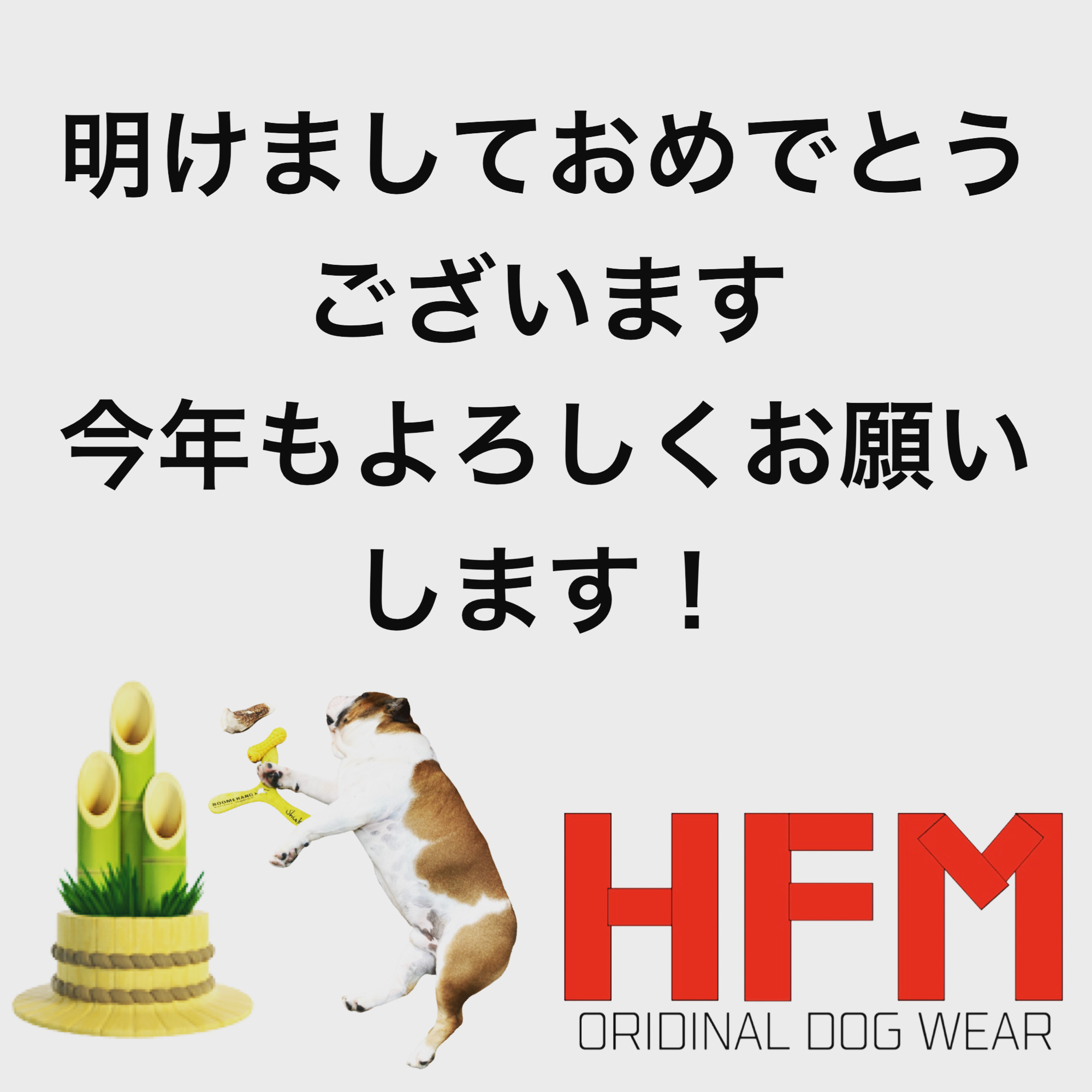 今年もよろしくお願いします！