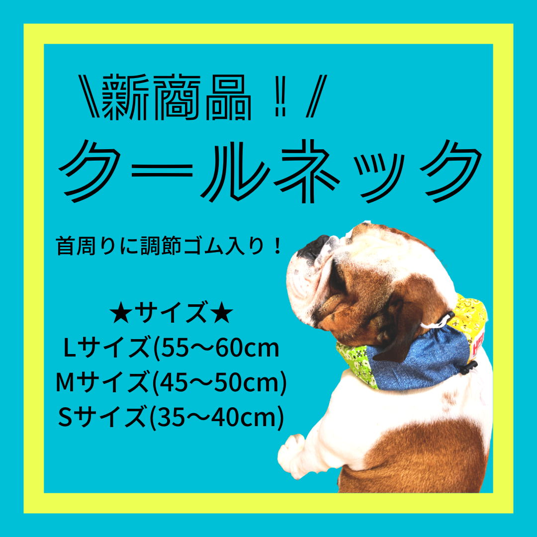 新商品★クールネック
