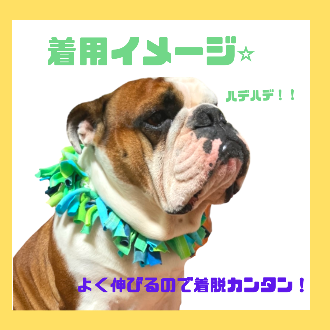 カラフル首飾り🌈