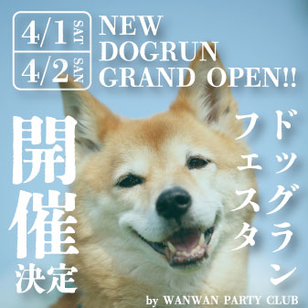 4/2(日)はブルーメの丘へ！