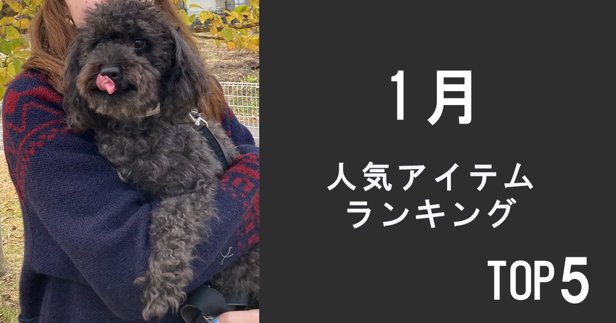 人気アイテムランキングTOP5【1月】