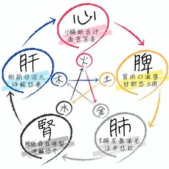 身体や陰陽・五行説について・・・