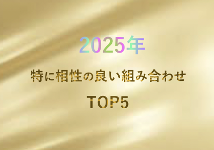 🔥 2025年に特に相性の良い組み合わせ TOP5 🔥