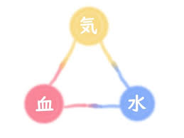 ✨テラヘルツと気の巡り：年齢とともに変化する“私”に寄り添うケア