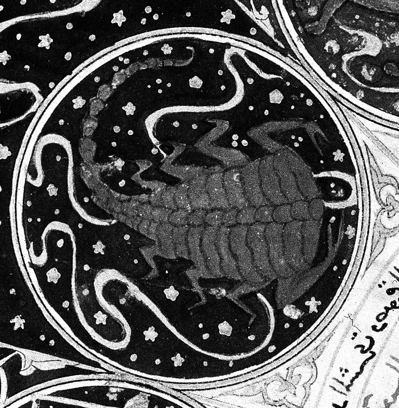 自分を知る-占星術編 part8 蠍座の世界-