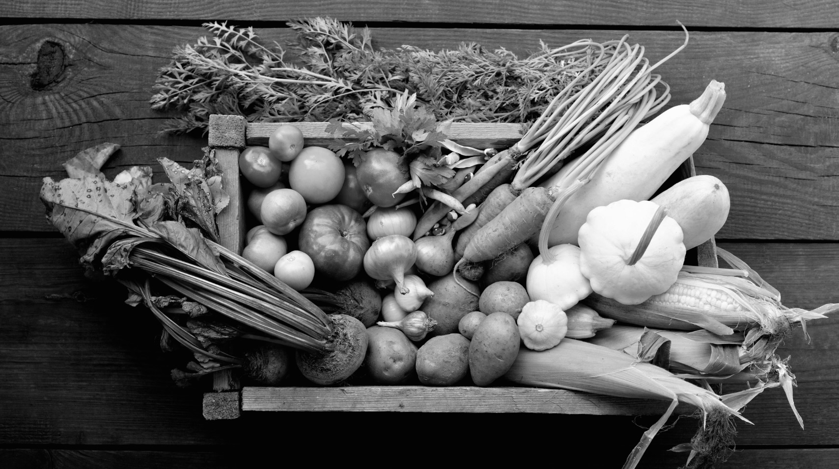 「行動心理学と栄養学」第五章　MICRONUTRIENTS | ミクロニュートリエントとエネルギー②