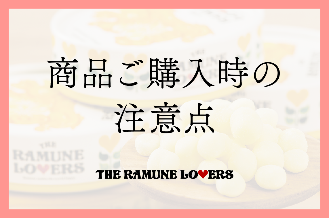 商品ご購入時のご注意点