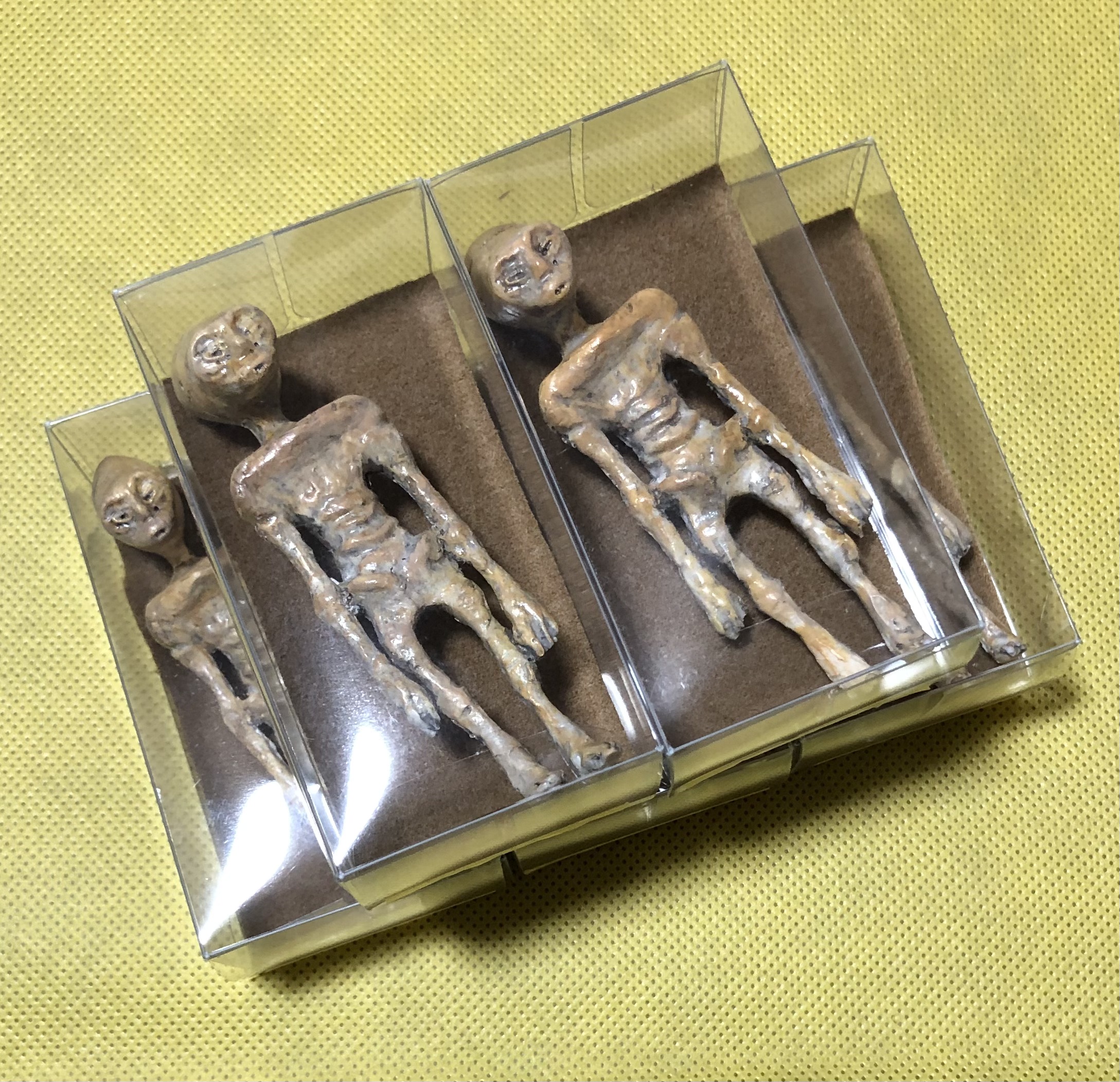 2025年1月　WarpShop  スタート