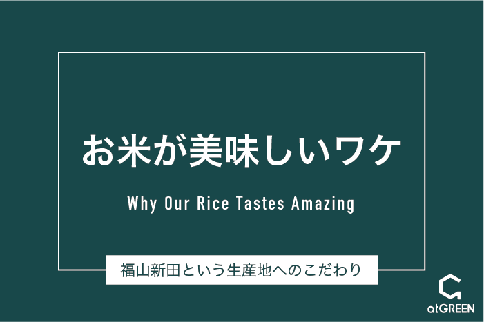 お米が美味しいワケ