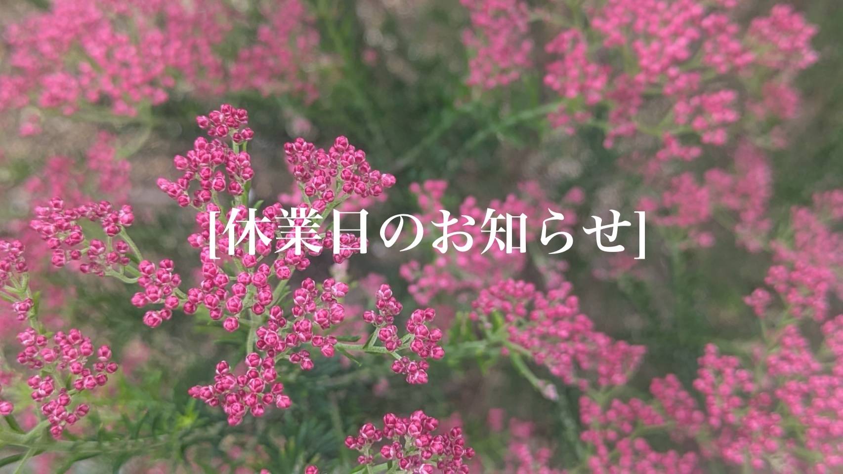 休業日のお知らせ