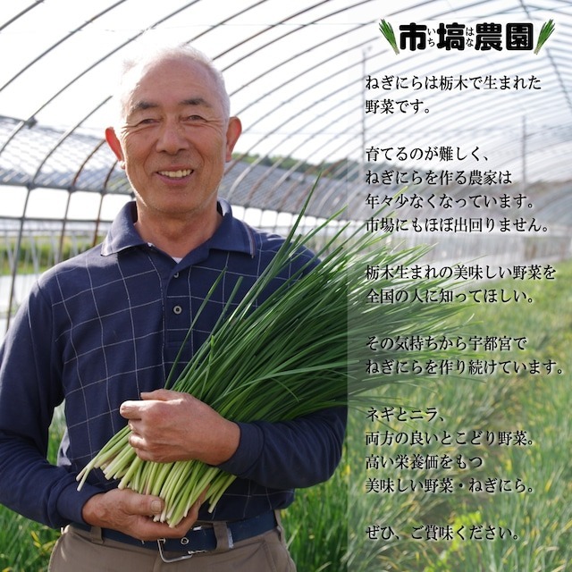「宇都宮ねぎにら」ネット販売を終了！