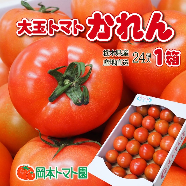 新商品「大玉トマト・かれん」注文受付開始！