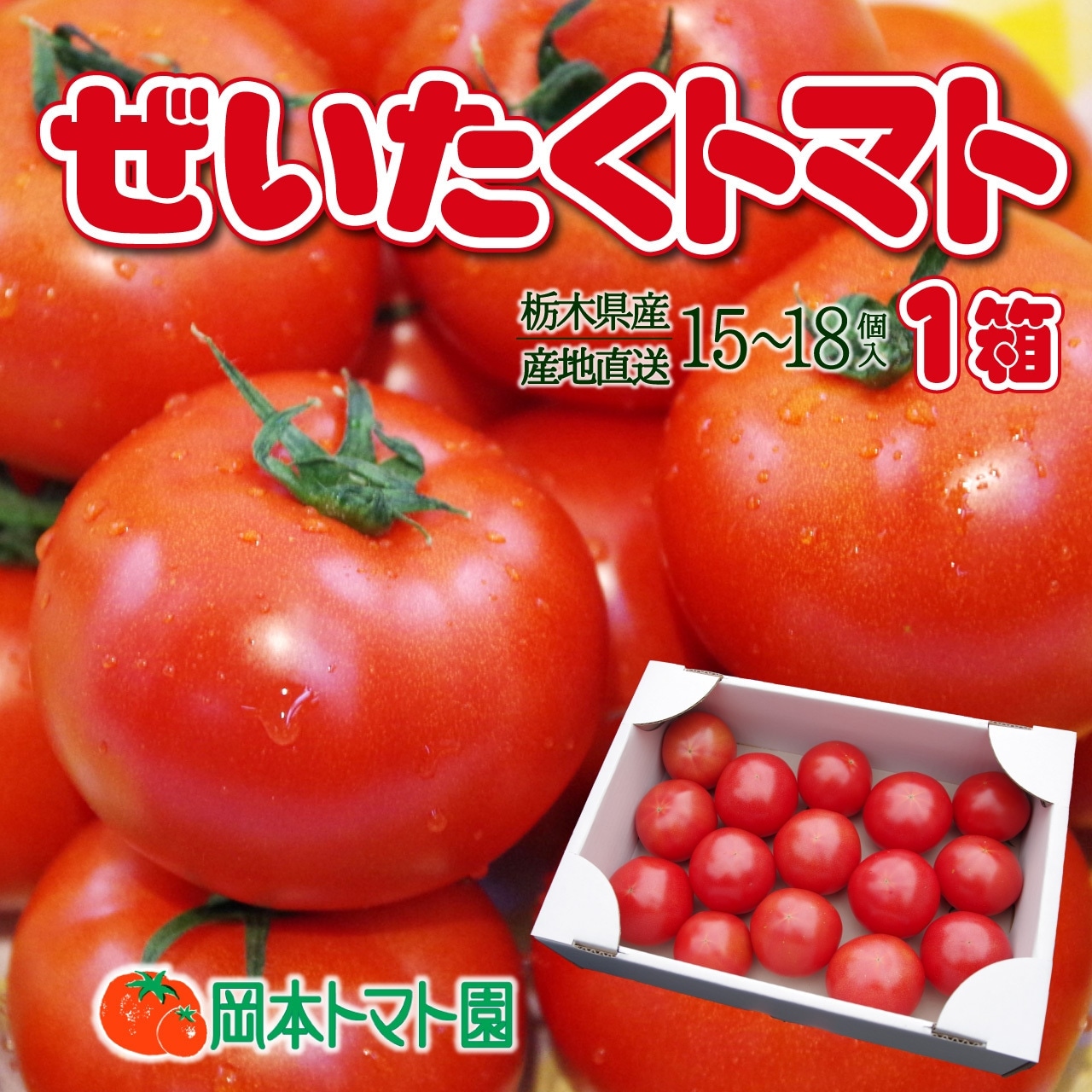 2/1(日)から2026年シーズン「ぜいたくトマト、かれんトマト」注文受付を開始!