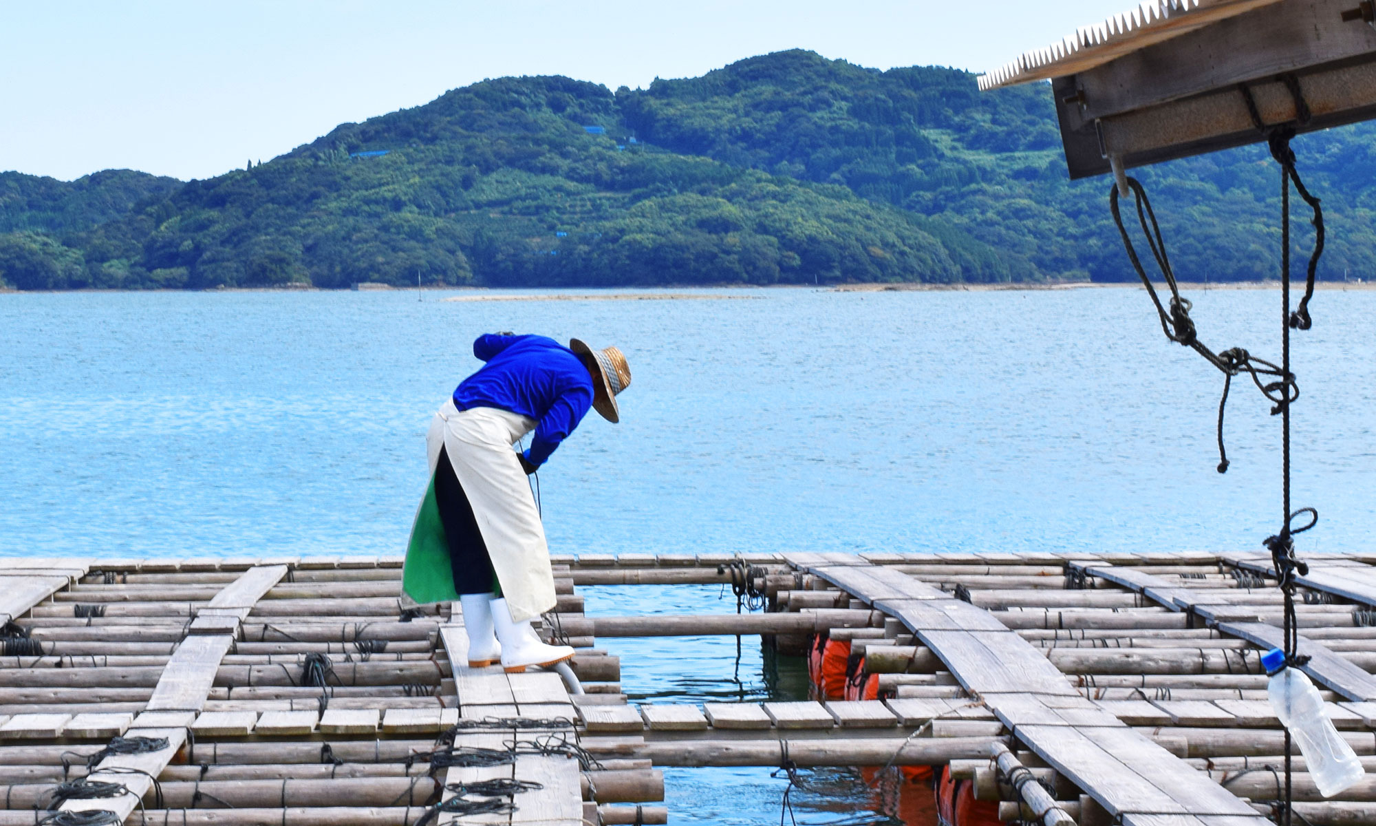 【お知らせ】年末年始の営業についてのお知らせ