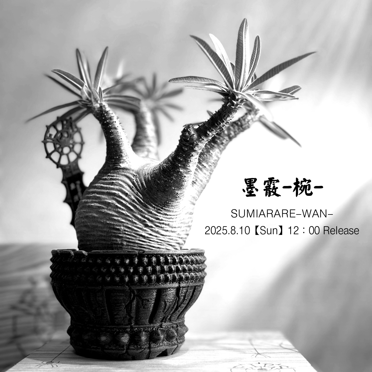 【COMING SOON】