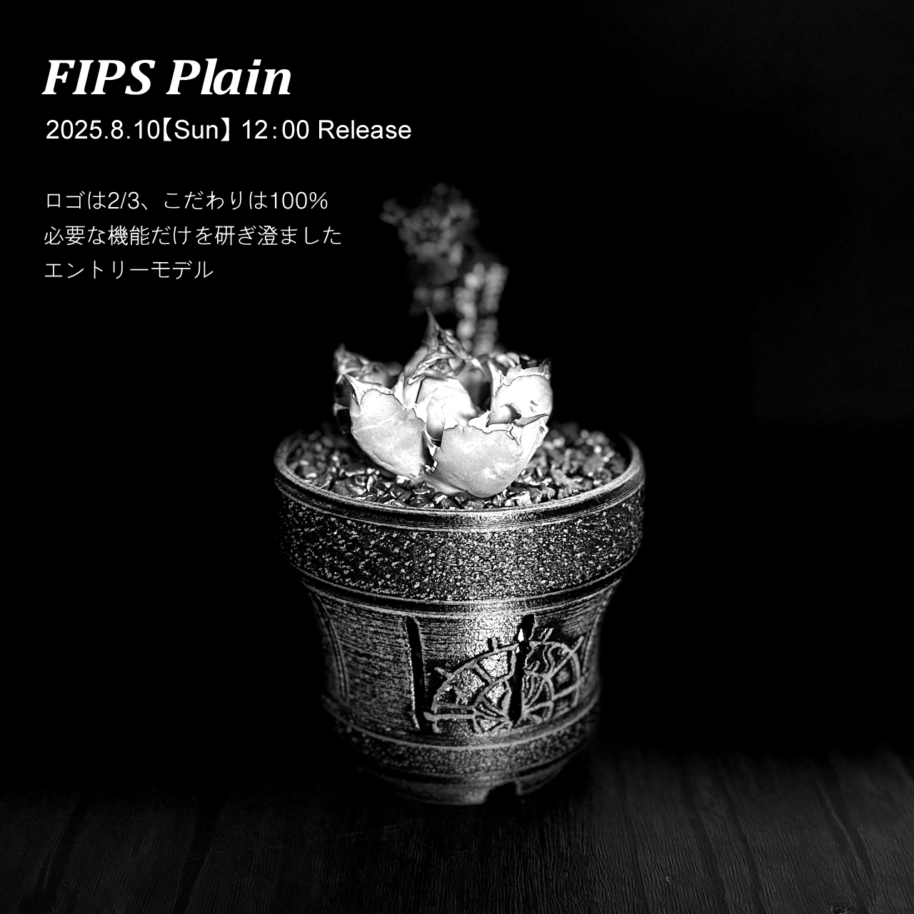 【COMING SOON】