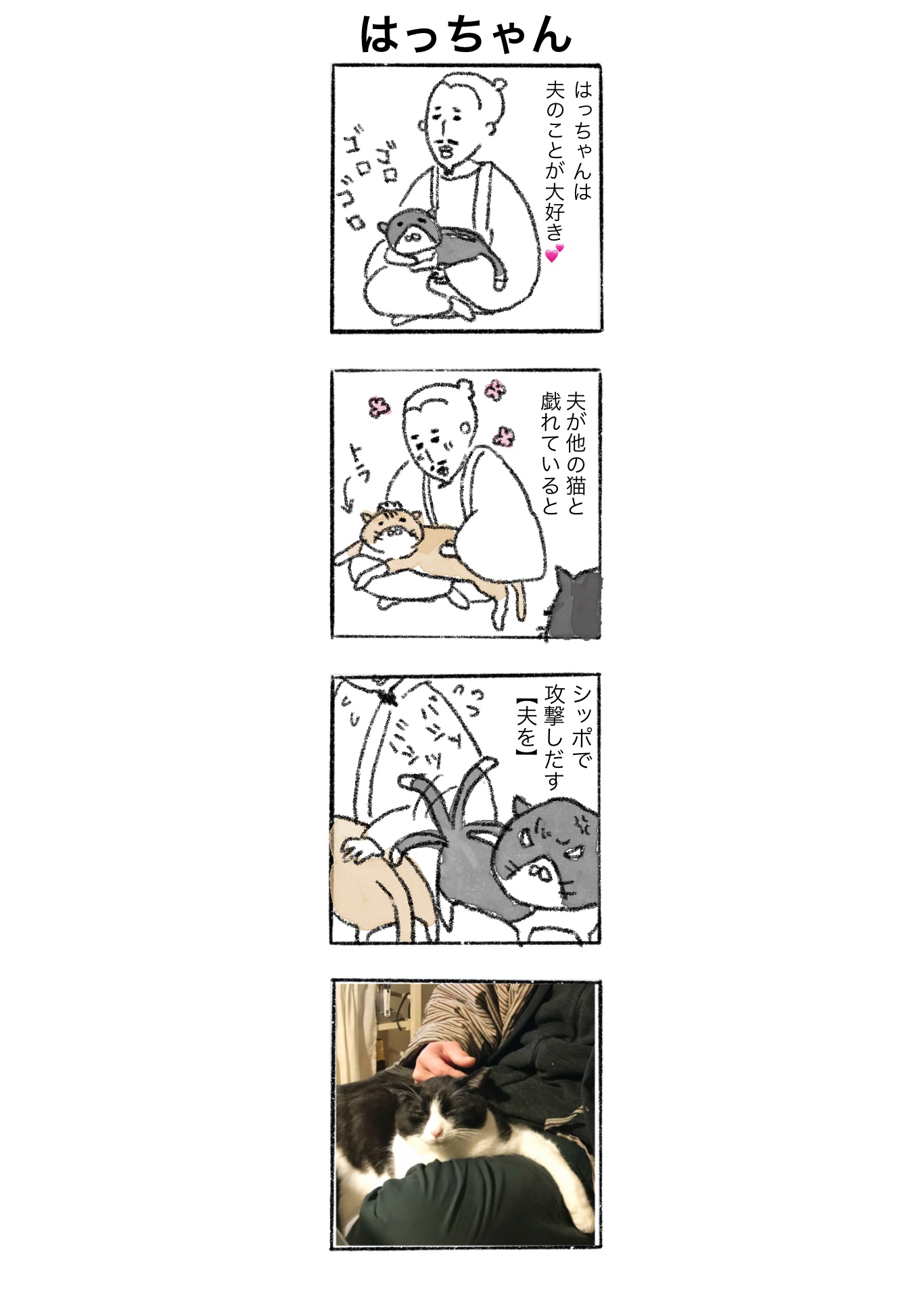 【ゆる猫4コマ#003】嫉妬に狂うはっちゃん