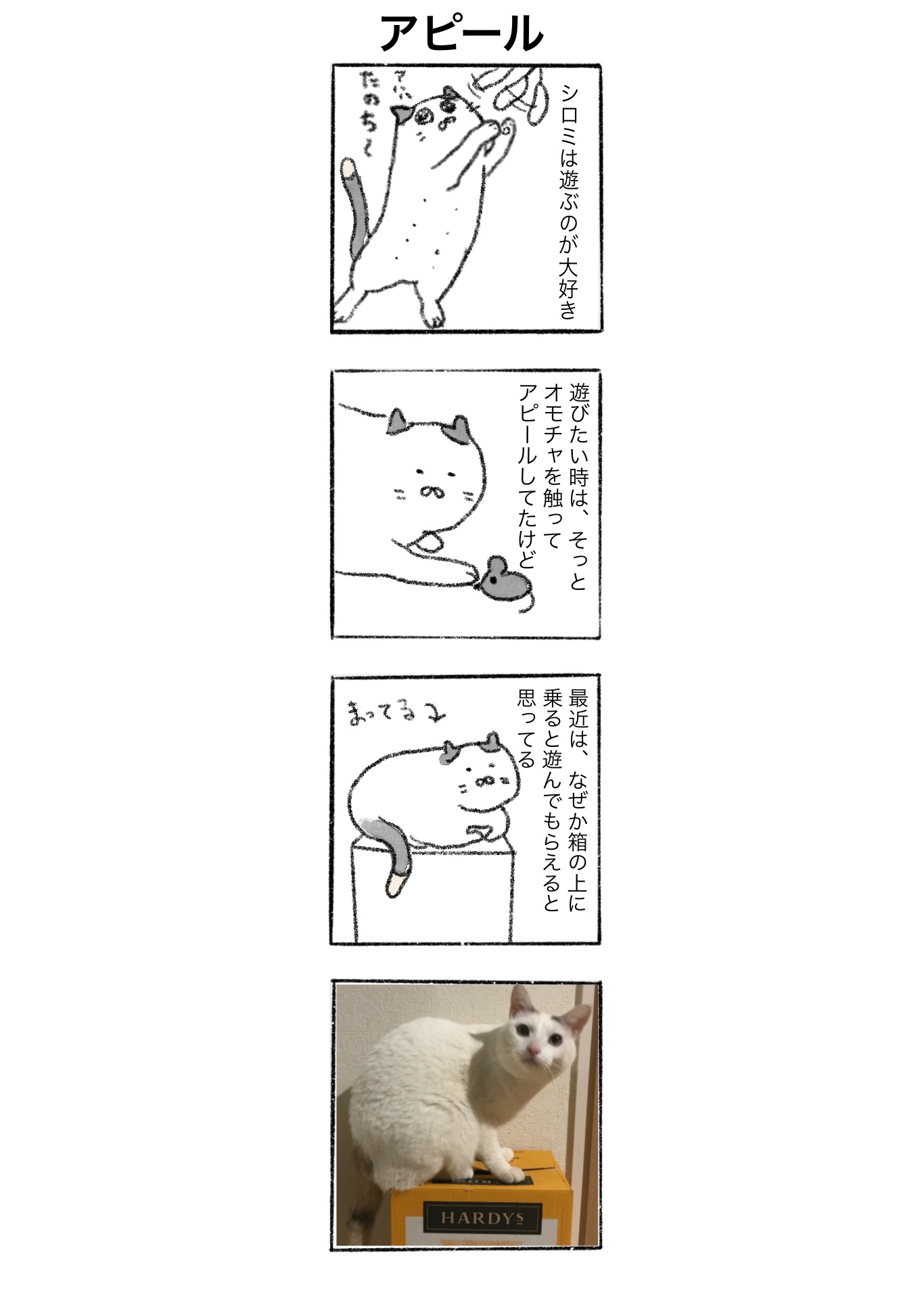 【ゆる猫4コマ】#008 アピール